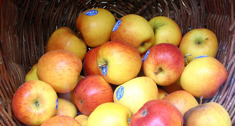 Braeburn Wikipedia Sven Teschke