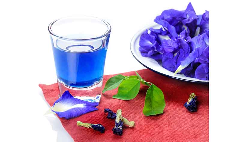 Taza de té de guisante de mariposa de color azul.