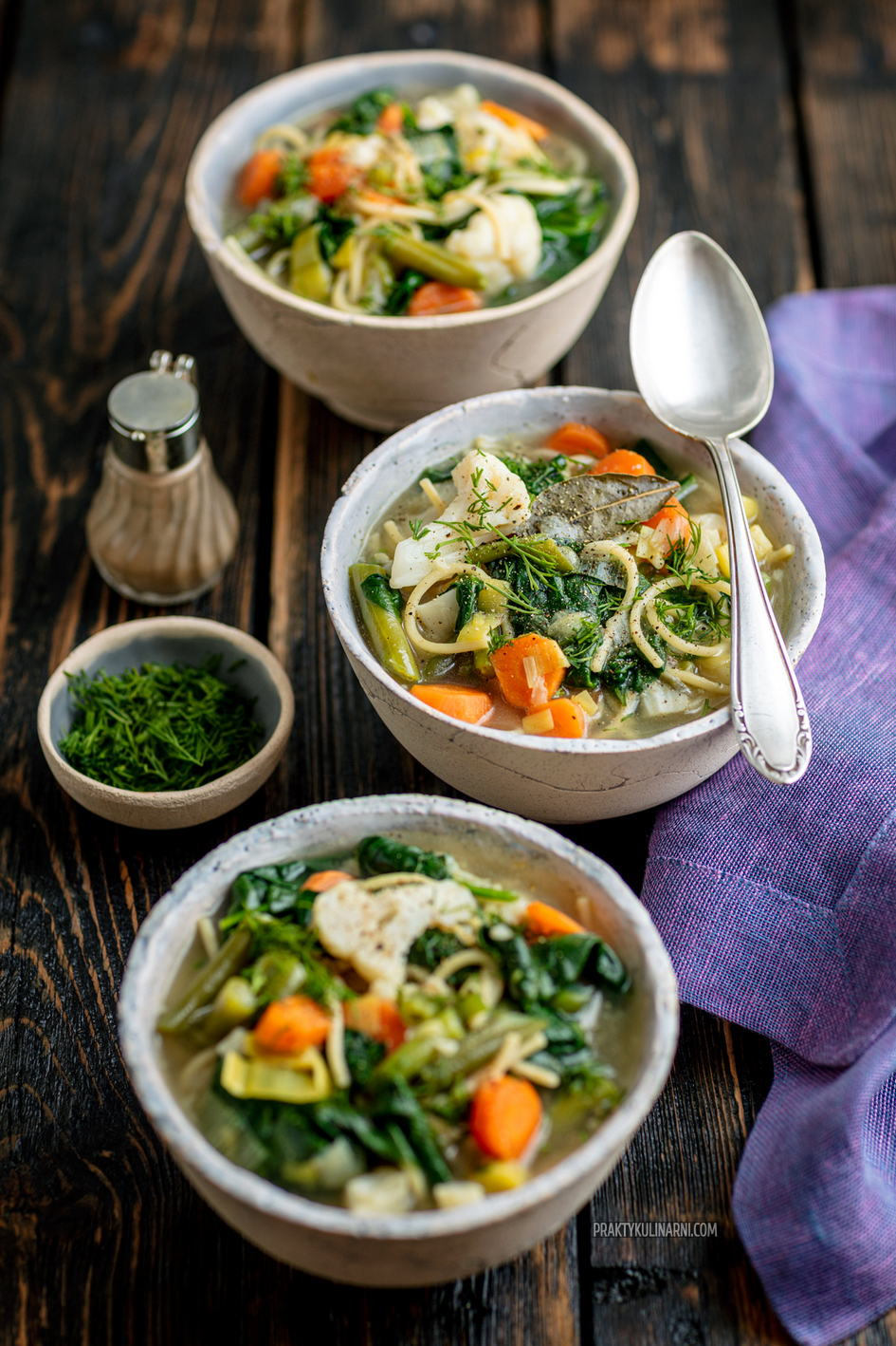 sopa de verduras