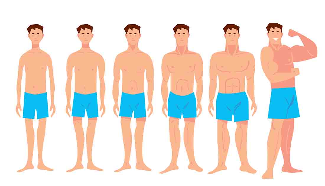 Dibujos animados sobre diferentes físicos masculinos: desde flacos hasta culturistas.