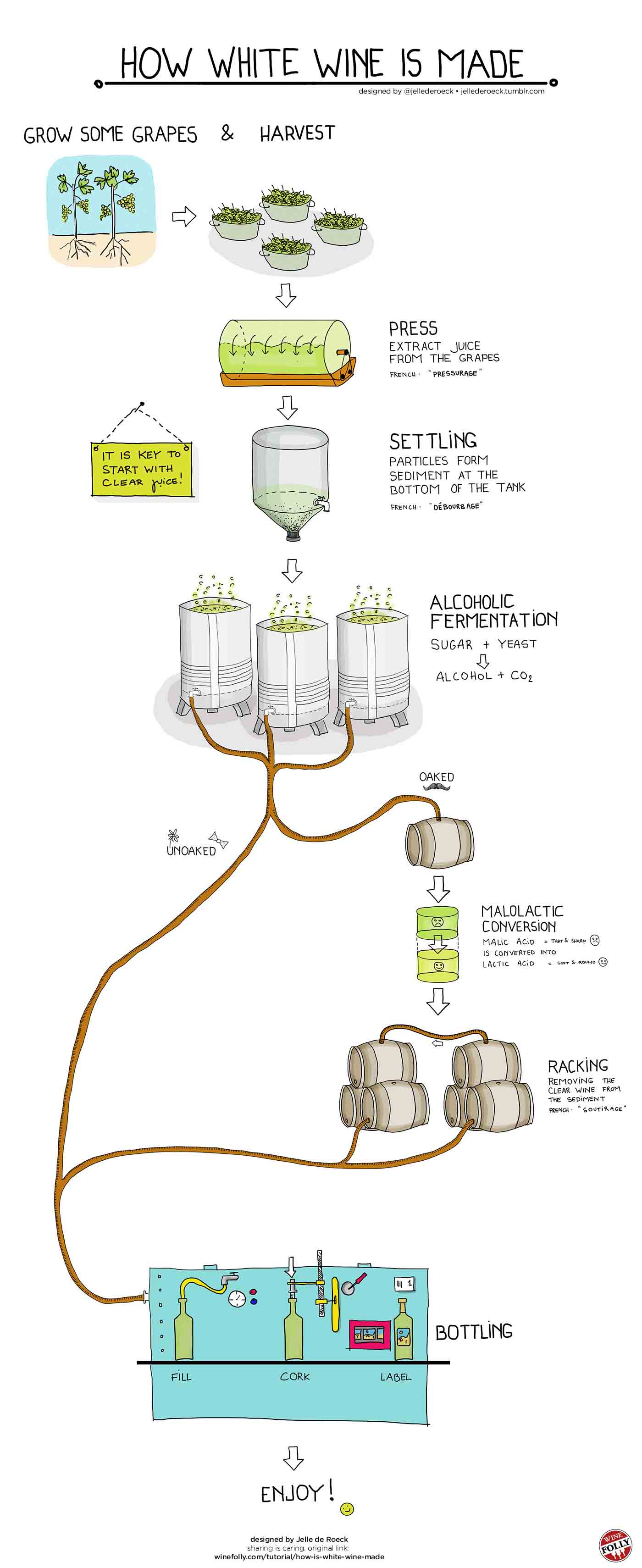 Infografía que muestra el proceso de producción de cómo se elabora el vino blanco.