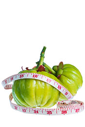 Imagen de la fruta Garcinia Cambogia