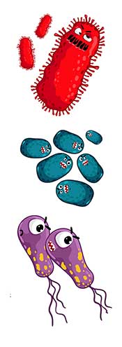 Imagen de dibujos animados que muestra varias bacterias.