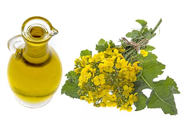 Aceite De Canola (colza) En Jarra De Vidrio.