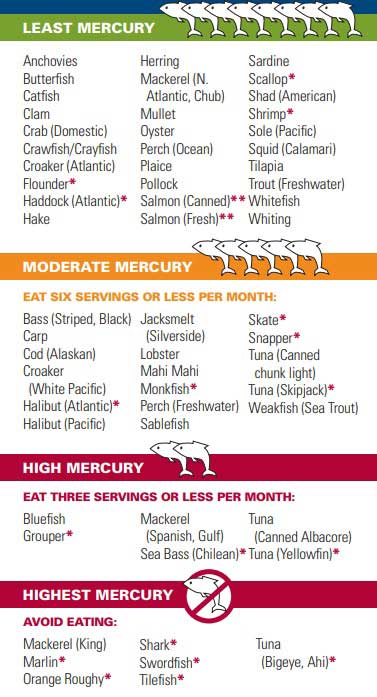 Infografía que muestra los peces que contienen mayor y menor cantidad de mercurio.