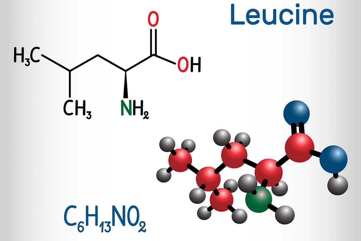 Estructura molecular y fórmula química de la leucina.